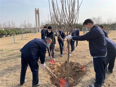 公司于3月9日开展植树活动